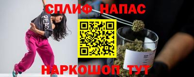 СК Донецк