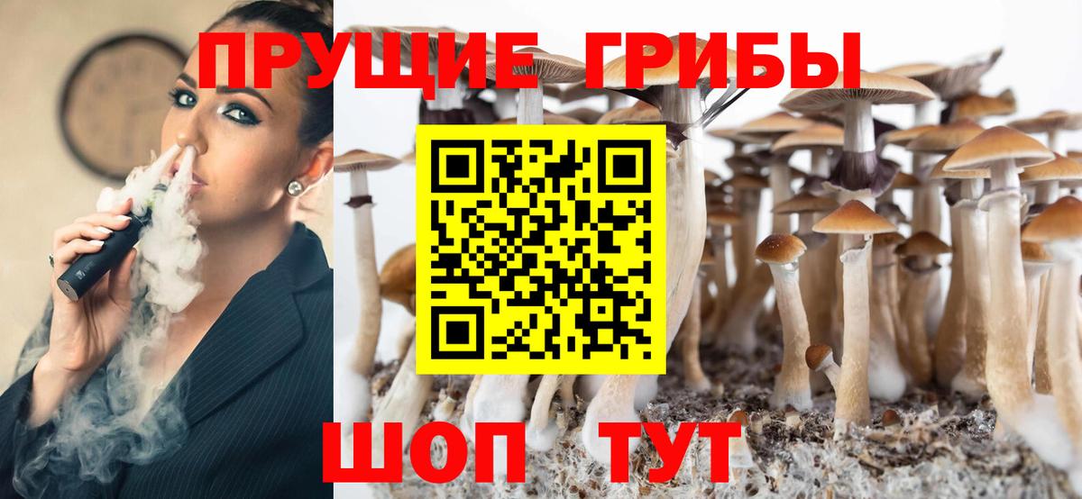 цены   Псилоцибиновые грибы мухоморы  Вход с VPN  Новомосковск 
